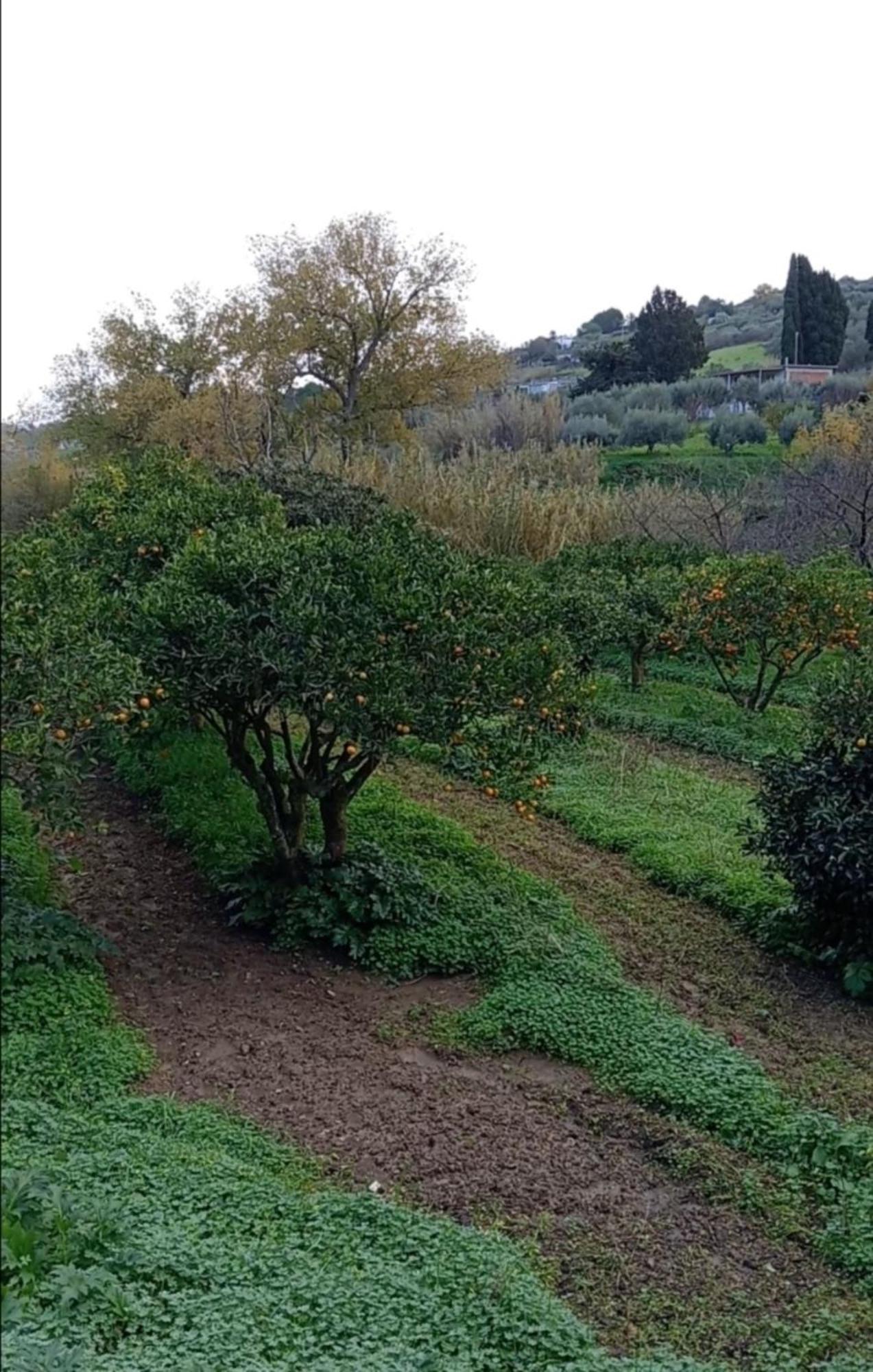 Villa Casa Gelferraro Calatafimi Exterior foto